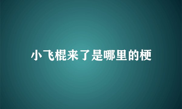 小飞棍来了是哪里的梗