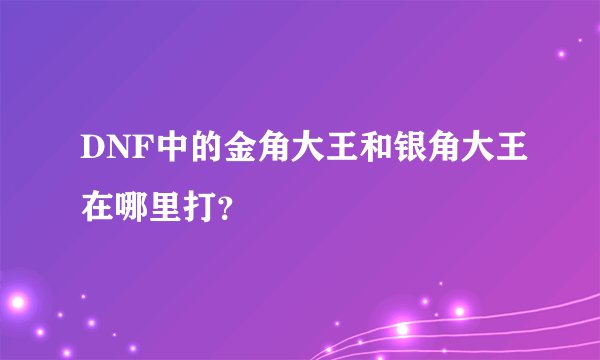 DNF中的金角大王和银角大王在哪里打？