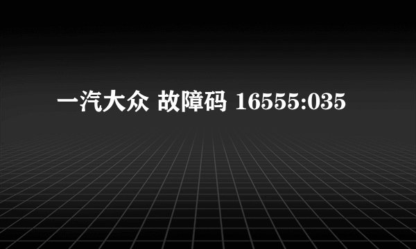 一汽大众 故障码 16555:035