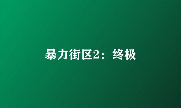 暴力街区2：终极
