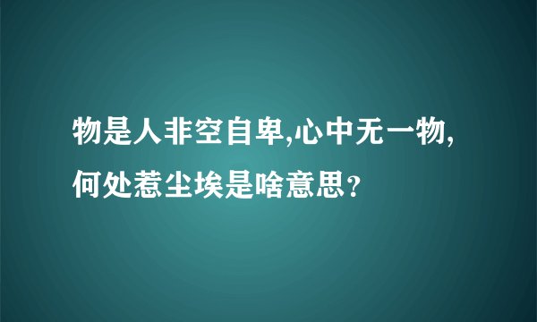 物是人非空自卑,心中无一物,何处惹尘埃是啥意思？
