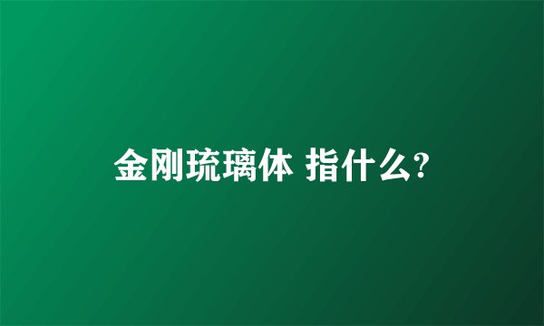 金刚琉璃体 指什么?