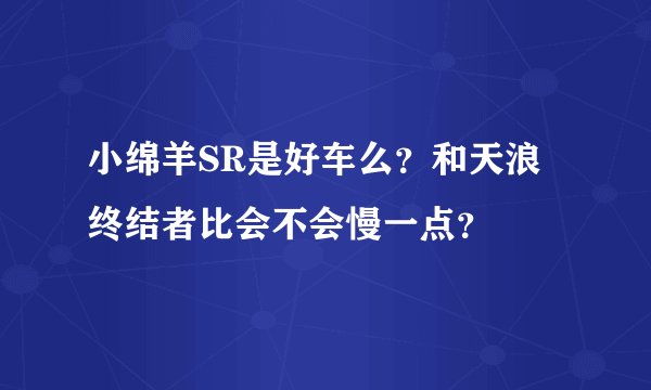 小绵羊SR是好车么？和天浪终结者比会不会慢一点？