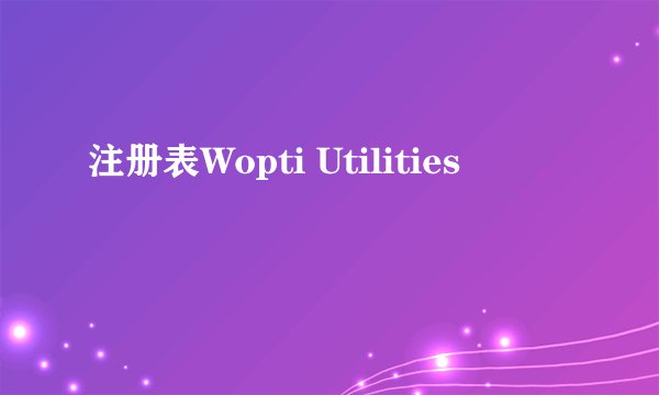 注册表Wopti Utilities