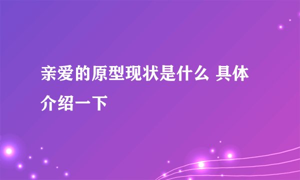 亲爱的原型现状是什么 具体介绍一下