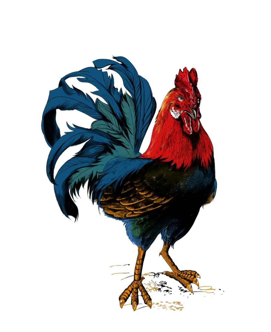 红妆打一个准确动物生肖