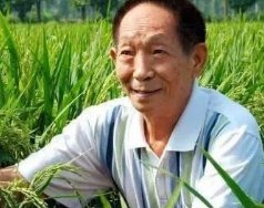 长沙上千群众夹道送别袁隆平院士，他为何值得万民爱戴？