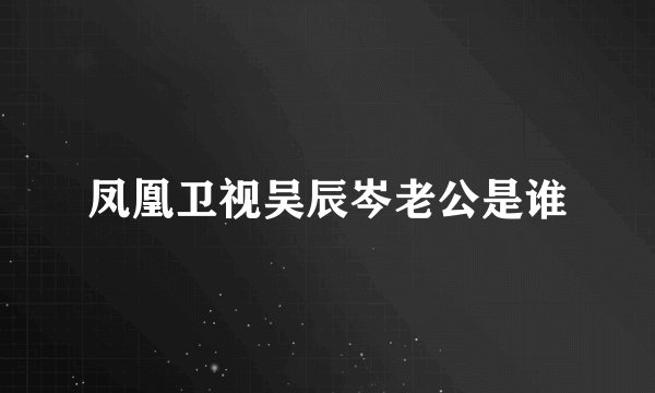 凤凰卫视吴辰岑老公是谁