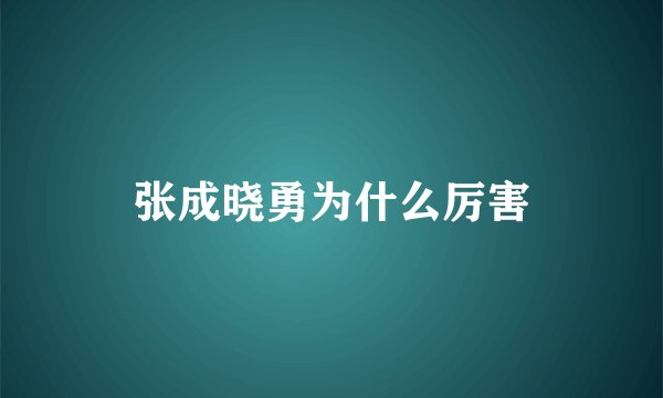 张成晓勇为什么厉害