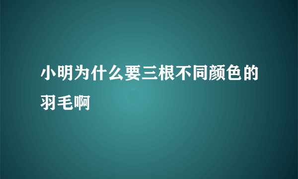 小明为什么要三根不同颜色的羽毛啊