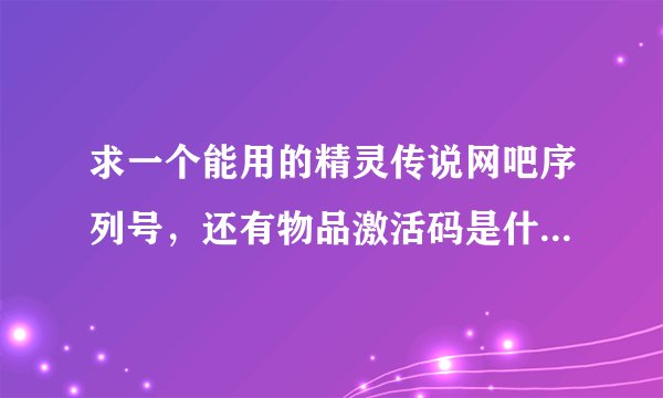 求一个能用的精灵传说网吧序列号，还有物品激活码是什么？在线等