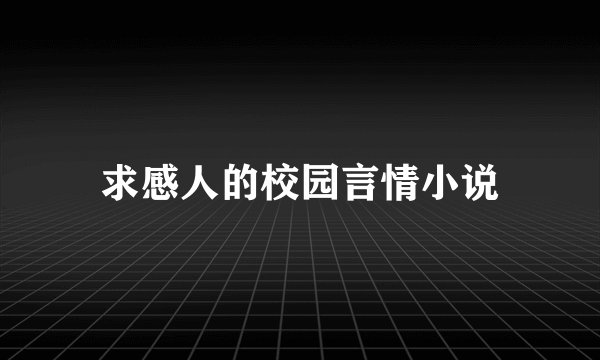 求感人的校园言情小说