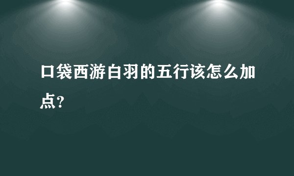 口袋西游白羽的五行该怎么加点？
