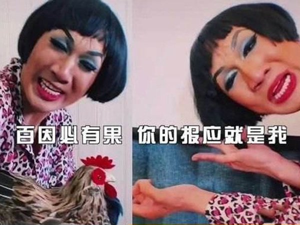 抖音百因必有果你的报应就是我什么意思，百因必有果下一句是什么