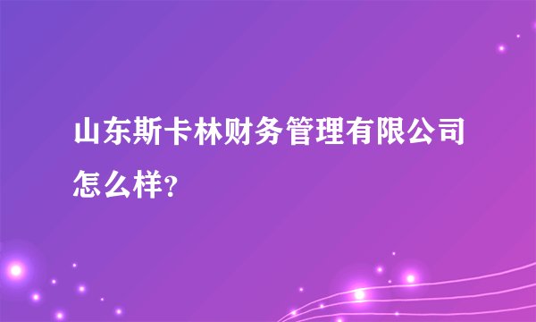 山东斯卡林财务管理有限公司怎么样？
