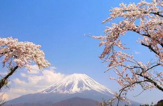 落魄贵族琉璃川的日语是什么？