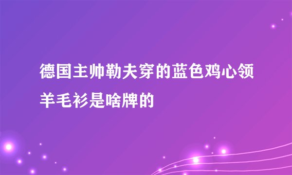 德国主帅勒夫穿的蓝色鸡心领羊毛衫是啥牌的