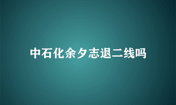 中石化余夕志退二线吗