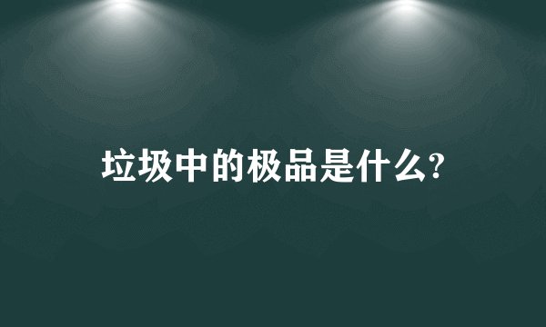 垃圾中的极品是什么?