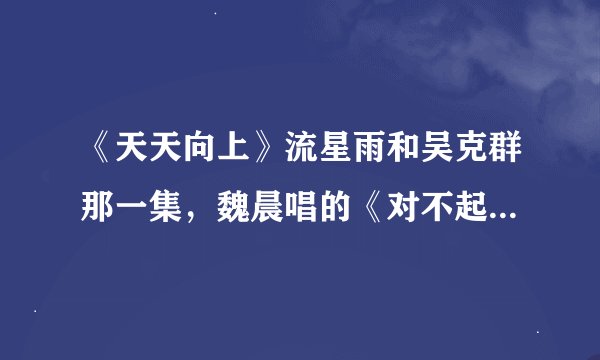 《天天向上》流星雨和吴克群那一集，魏晨唱的《对不起我爱你》的下载地址