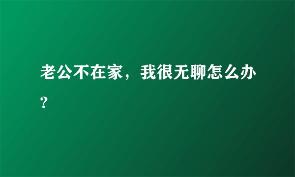 老公不在家，我很无聊怎么办？