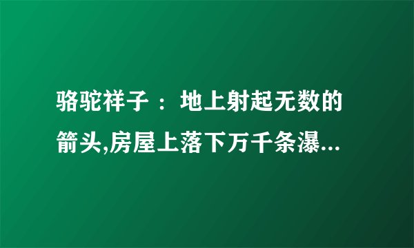 骆驼祥子 ：地上射起无数的箭头,房屋上落下万千条瀑布。这个句子的表达效果好在哪里？