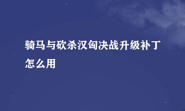 骑马与砍杀汉匈决战升级补丁怎么用