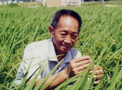 长沙上千群众夹道送别袁隆平院士，他为何值得万民爱戴？