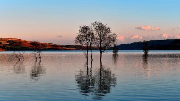 北京科兴疫苗和北京科兴中维疫苗是同一种吗?