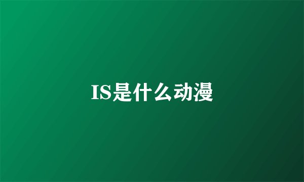 IS是什么动漫
