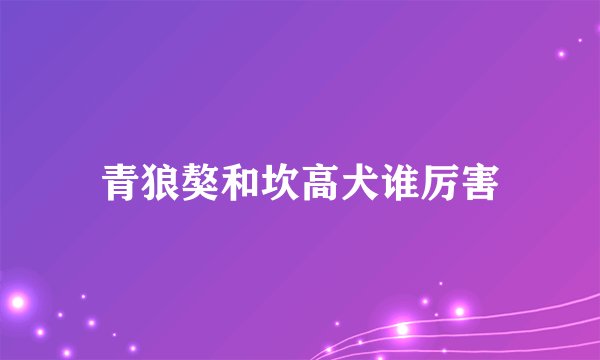 青狼獒和坎高犬谁厉害