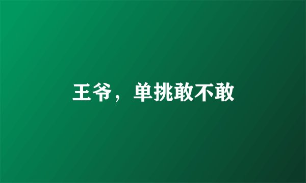 王爷，单挑敢不敢
