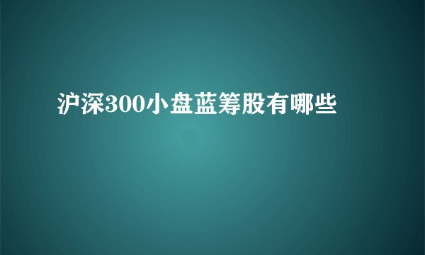 沪深300小盘蓝筹股有哪些