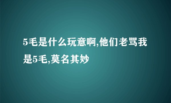 5毛是什么玩意啊,他们老骂我是5毛,莫名其妙