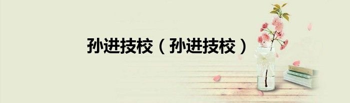 孙进技校怎么样