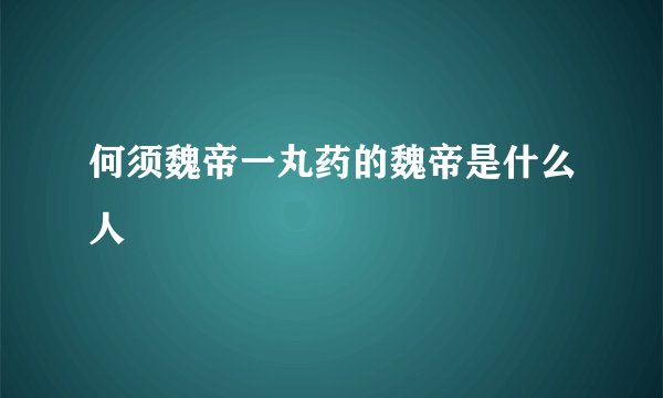 何须魏帝一丸药的魏帝是什么人