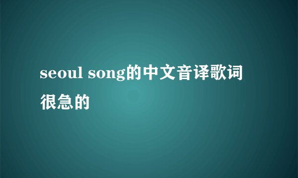 seoul song的中文音译歌词 很急的