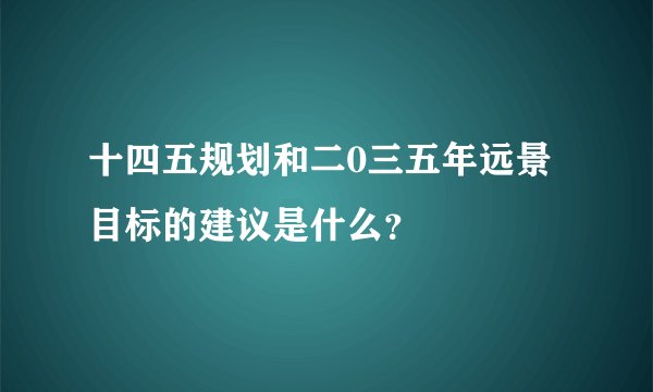 十四五规划和二0三五年远景目标的建议是什么？