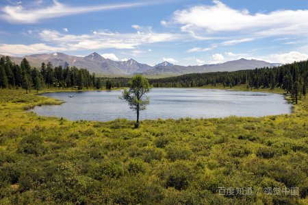切尔诺贝利日记高清电影