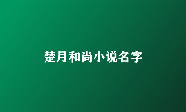 楚月和尚小说名字