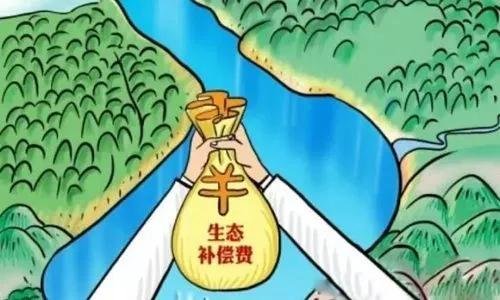 安徽和浙江的水质对赌以5亿元作为赌资，能提倡这样的做法吗？