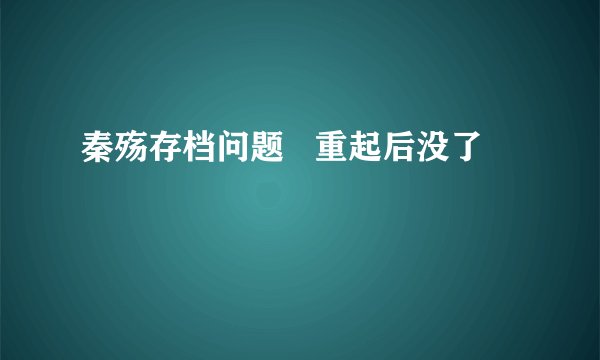 秦殇存档问题   重起后没了