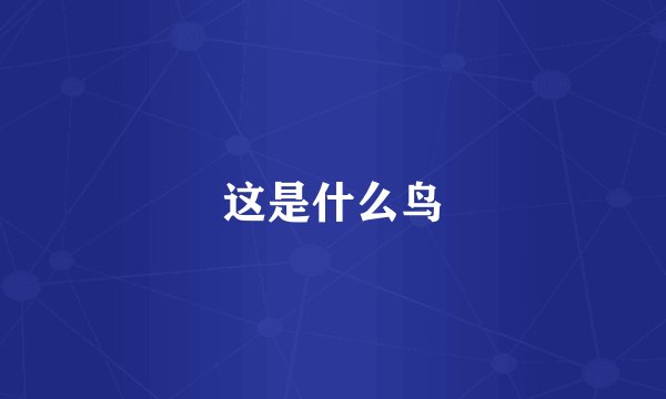 这是什么鸟