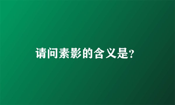 请问素影的含义是？