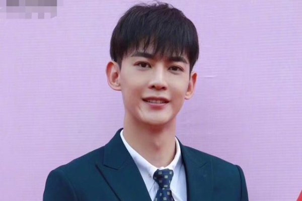 任豪后援会否认了集体卸任，称其为正常换届，此次换届对任豪人气有影响吗？