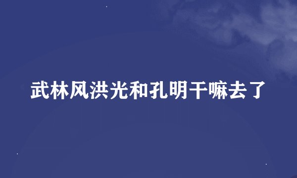 武林风洪光和孔明干嘛去了