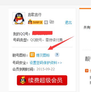 qq靓号靓字图标在哪儿显示？