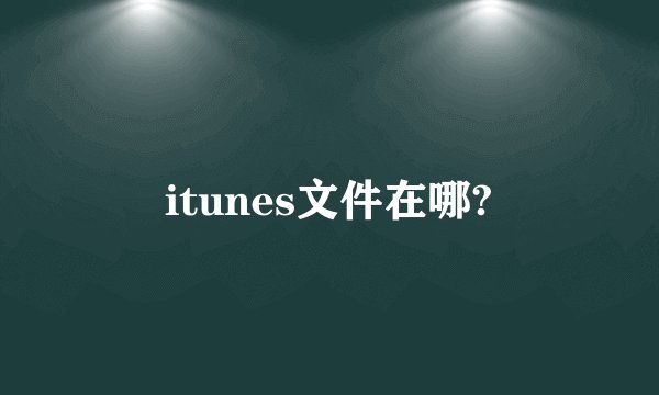 itunes文件在哪?