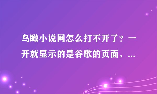 鸟瞰小说网怎么打不开了？一开就显示的是谷歌的页面，为什么？