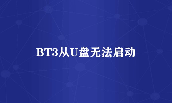 BT3从U盘无法启动